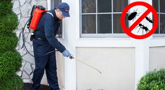 Düziçi Bit İlaçlama böcek ilaçlama ve haşere kontrolü — ilaclama-tr.com